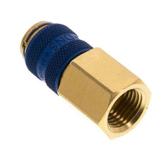 Acoplamiento de aire de latón DN 5 azul Toma G 1/4 pulgada hembra