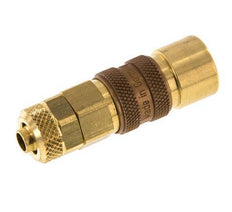 Brass DN 5 Brown Air Coupling Socket 6x8 mm Union Nut