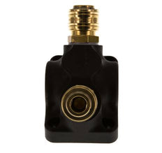 Latón/plástico DN 7,2 (Euro) Acoplamiento de aire Enchufe G 3/4 pulgadas Hembra Montaje en pared 2 vías
