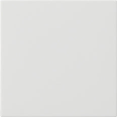 Gira System 55 Single Rocker Switch Blank Pure White - 537203 [2 Pieces]