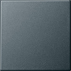 Gira System 55 Control Element/Central Plate Switchgear - 029628 [2 Pieces]