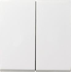 Gira System 55 Control Element/Central Plate Switchgear - 029527