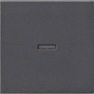 Gira System 55 Control Element/Central Plate Switchgear - 029028