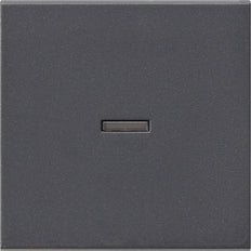Gira System 55 Control Element/Central Plate Switchgear - 029028