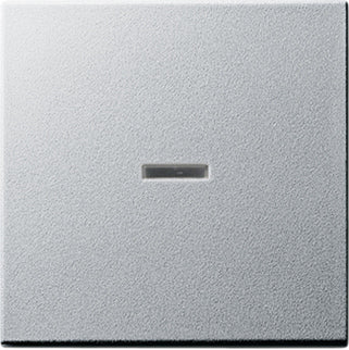 Gira System 55 Control Element/Central Plate Switchgear - 029026