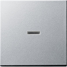 Gira System 55 Control Element/Central Plate Switchgear - 029026