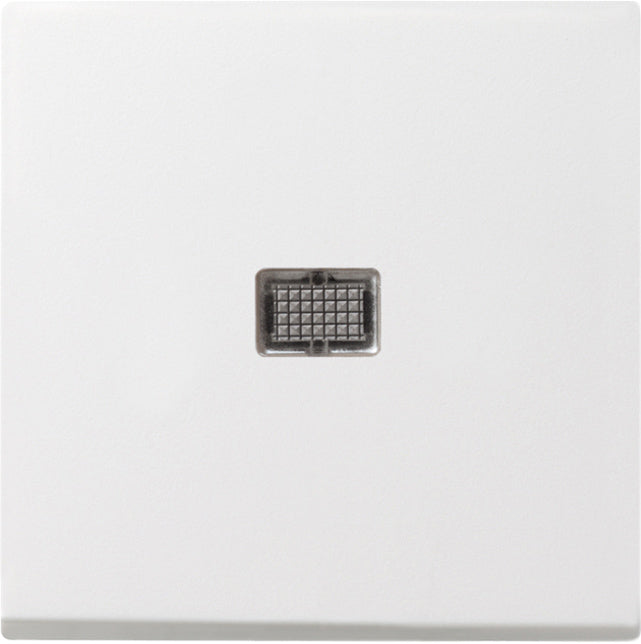 Gira System 55 Control Element/Central Plate Switchgear - 029803 [2 Pieces]