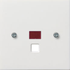 Gira F100 Control Element/Central Plate Switchgear - 0638112