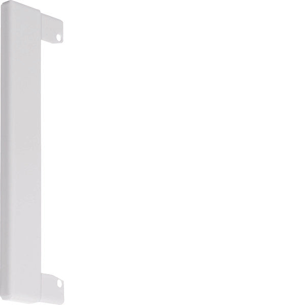 Hager Tehalit Placa con reborde Canal de pared - BR100WK9016