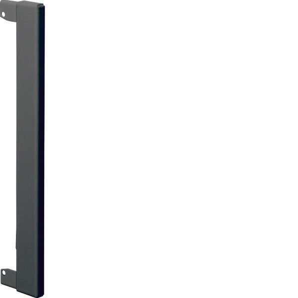 Hager Tehalit Placa con reborde Canal de pared - BR170WK9011