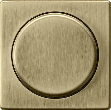 Gira System 55 Control Element/Central Plate Switchgear - 0650603