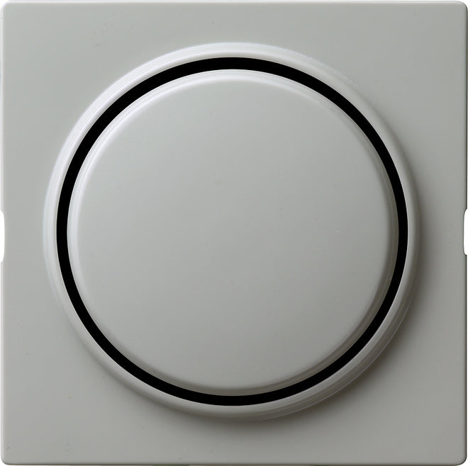 Gira S-Color Control Element/Central Plate Switchgear - 029642