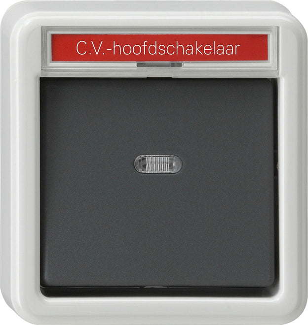 Gira Splashproof Surface-Mounted Installation Switch - 011635