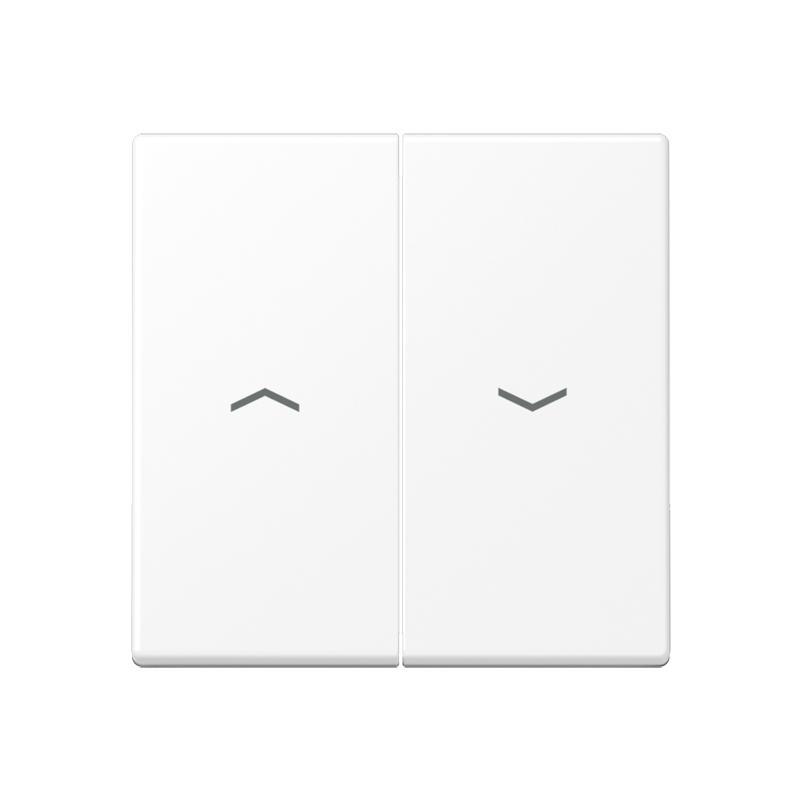 Jung A RANGE Control Element/Central Plate Switchgear - A595PWWM