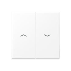 Jung A RANGE Control Element/Central Plate Switchgear - A595PWWM