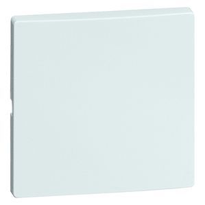 Honeywell Peha DIALOG Elemento De Control/Conmutador De Placa Central - 00821611
