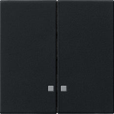 Gira System 55 Control Element/Central Plate Switchgear - 0631005