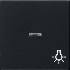Gira System 55 Control Element/Central Plate Switchgear - 0674005