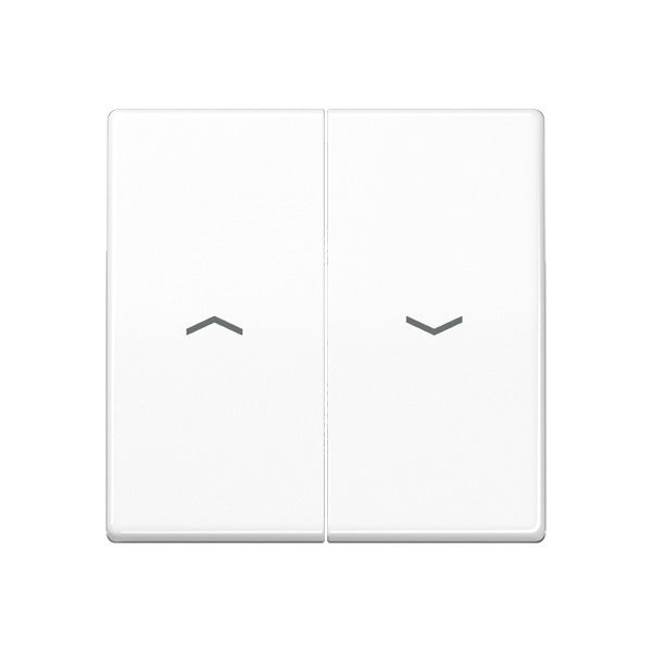 Elemento De Control/conmutador De Placa Central AS500 De Jung - AS591-5PBFWW