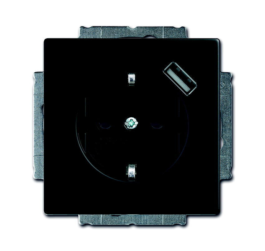 ABB Busch-Jaeger Future Wall Outlet (WCD Switchgear) - 2CKA002011A6165