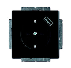 ABB Busch-Jaeger Future Wall Outlet (WCD Switchgear) - 2CKA002011A6165