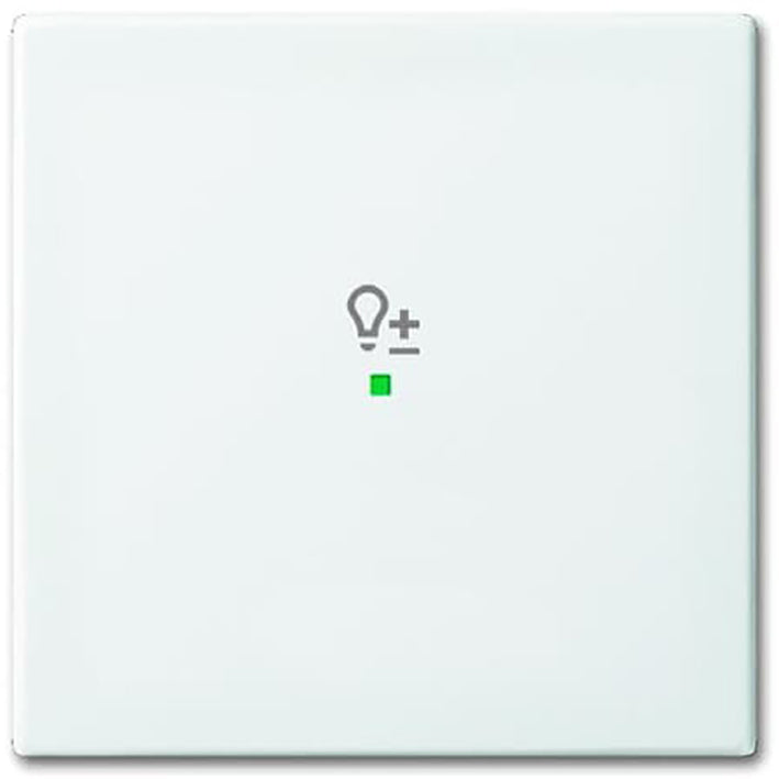 ABB Busch-Jaeger Busch-FreeAtHome Control Element/Central Plate Switchgear - 2CKA006220A0359 [2 Pieces]