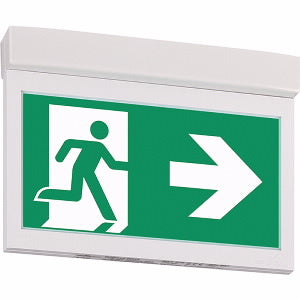 Eaton Blessing GuideLED Emergency Lighting Fixture - 40071353610