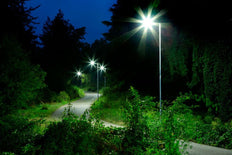 Philips TrueForce Core Lámpara LED - 75033600