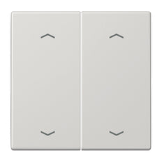 Jung EnO Funk Emisor de pared LS990 de 4 canales con símbolos - ENOLS995MPLG