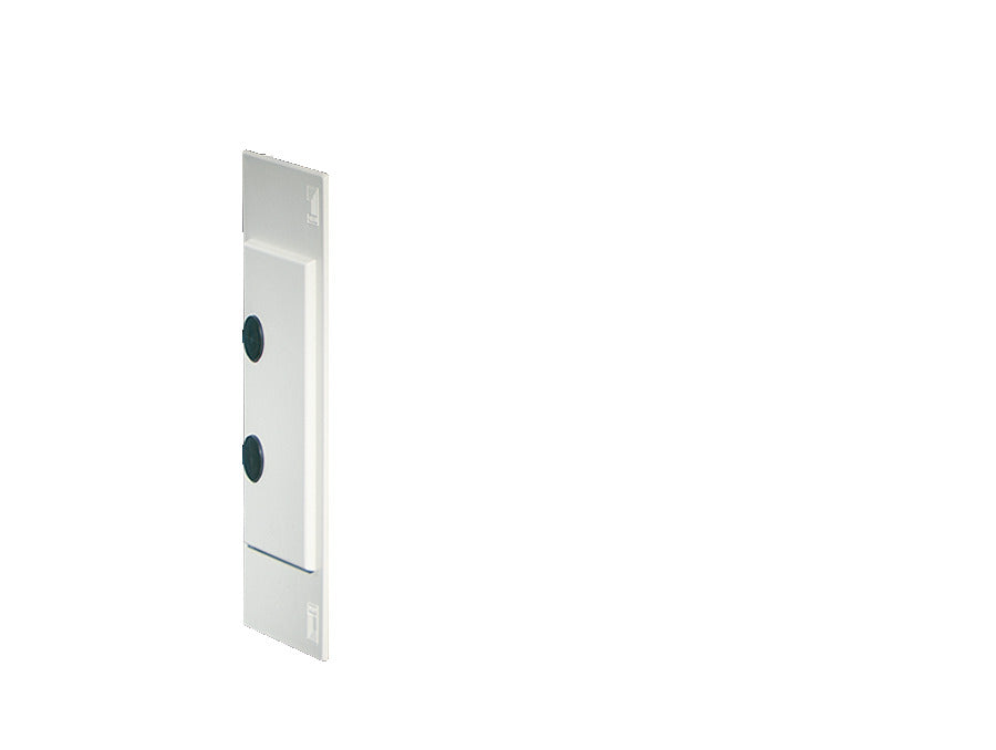 Rittal Mini PLS End Cover Grey RAL 7035 - 9610000 [2 Pieces]