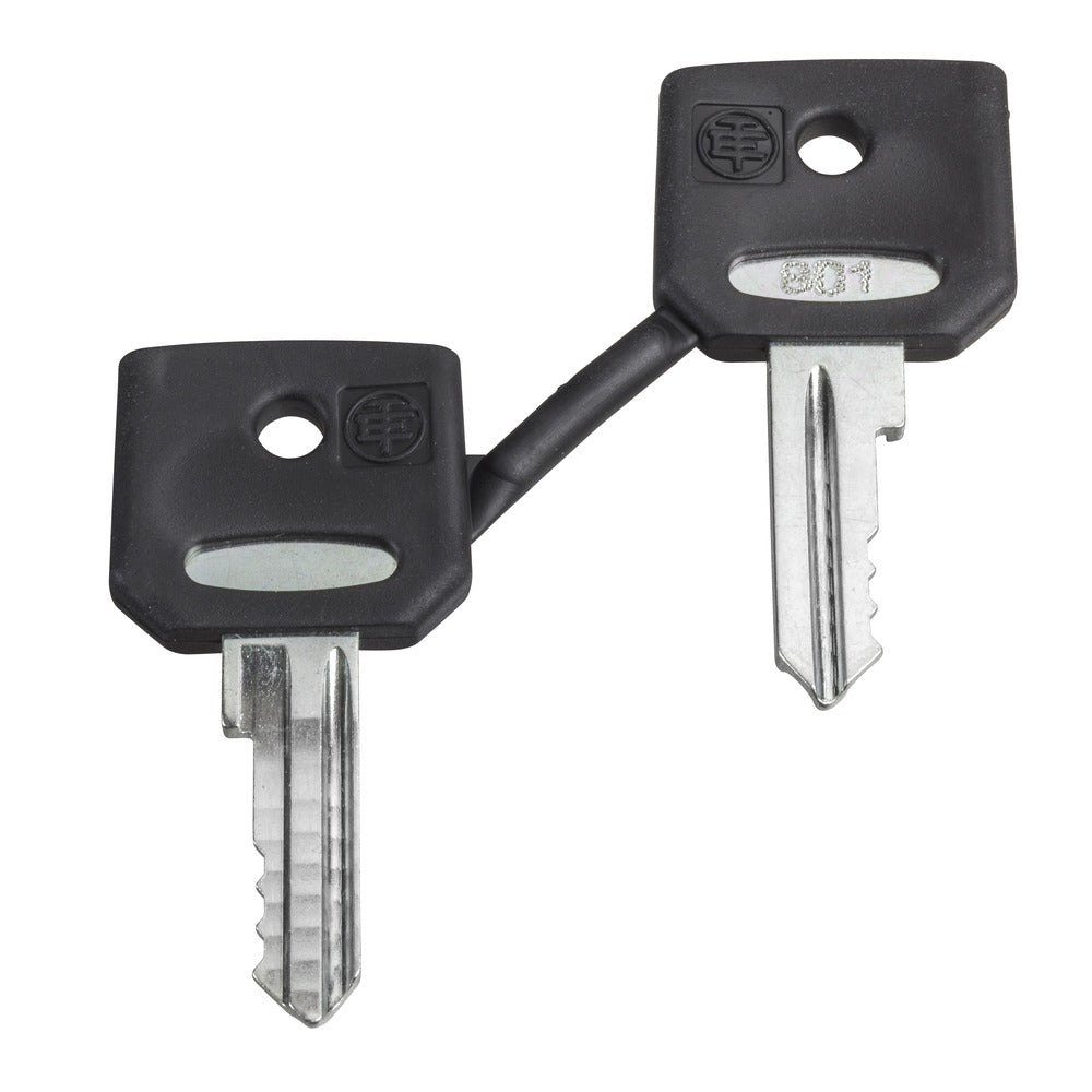 Schneider Electric Harmony ZB 421E Replacement Keys Set - ZBG421E