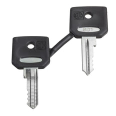 Schneider Electric Harmony ZB 421E Replacement Keys Set - ZBG421E