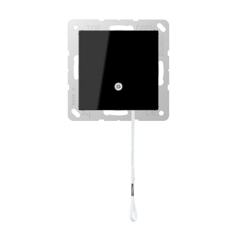 Jung A500 Interruptor De Cuerda 10A 250V Negro - A506BFNUZSW