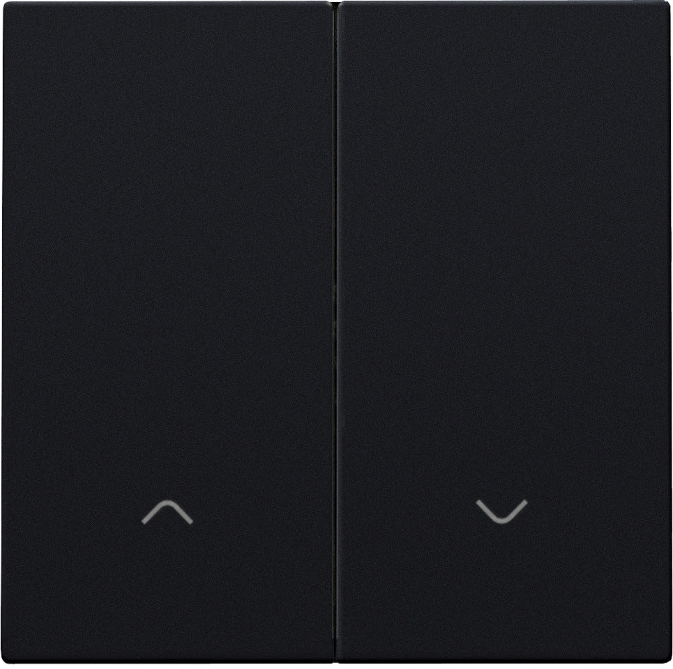 Black Coated Double Electronic Shutter Control Switch - 161-31006