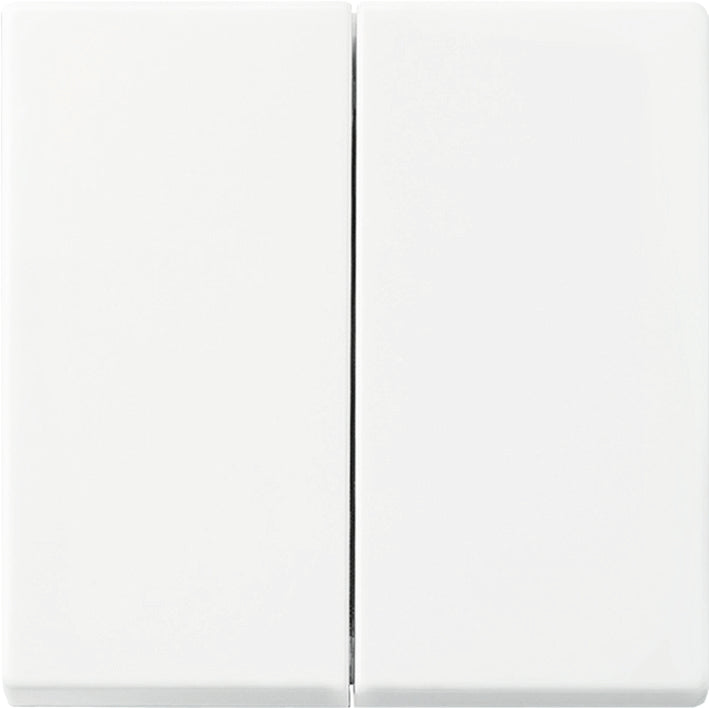 ABB Interruptor Inteligente Doble Rocker Balance Blanco - 2CKA006730A0163 [10 Piezas]