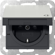 Gira System 55 Stainless Steel SCHUKO Socket With Cover - 4414600