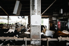 Caja De Conexiones Spelsberg Pro IP69 Negra - 40600001