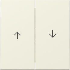 Gira System 55 Dual Rocker Switch With Arrow Symbol - 329401