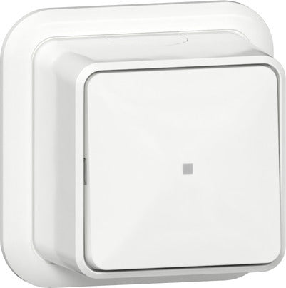 Gira Interruptor De Palanca De 2 Vías Con Ventana De Control 10A 250V - 315611