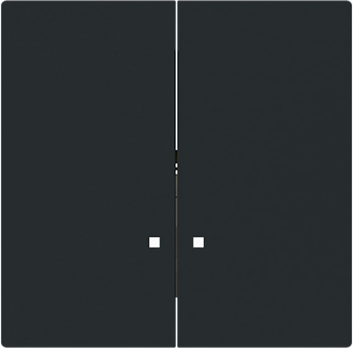 ABB Busch Hotel DND Switch Cover Plate Black Matte - 2CKA001751A3312