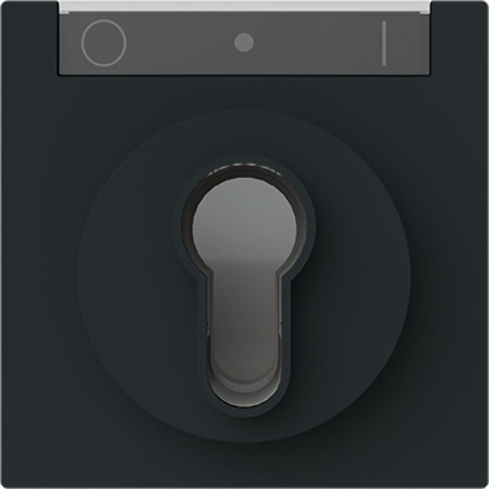 ABB Busch-Jaeger Interruptor De Llave Placa De Control IK03 Negro - 2CKA001710A4160