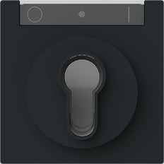 ABB Busch-Jaeger Interruptor De Llave Placa De Control IK03 Negro - 2CKA001710A4160