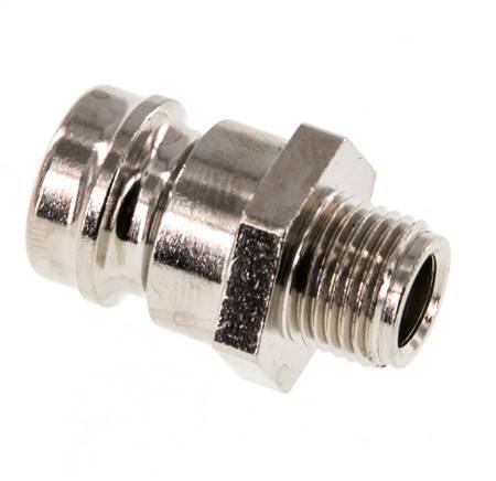 Latón DN 9 Tapón de Acoplamiento de Moldes G 1/8 pulgadas Rosca Macho [5 Piezas]