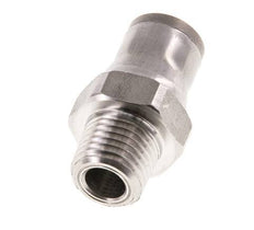 10mm x 1/4'' NPT Push-in Fitting with Male Threads Stainless Steel FKM