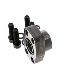 Brida 3/4'' SAE 3000 PSI Acero liso con roscas hembra G3/4'' ISO 6162-1