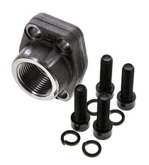 Brida 1'' SAE 3000 PSI Acero liso con rosca hembra G1'' ISO 6162-1