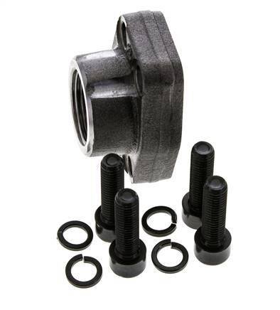 Brida 1'' SAE 3000 PSI Acero liso con rosca hembra G1'' ISO 6162-1