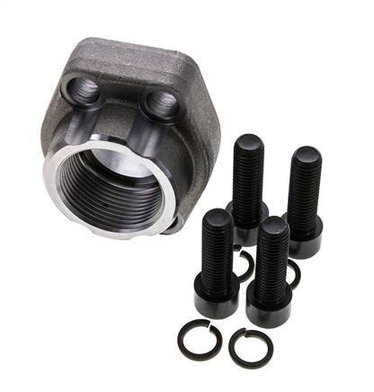 Brida SAE 1-1/4'' Acero liso 3000 PSI con roscas hembra G1-1/4'' ISO 6162-1