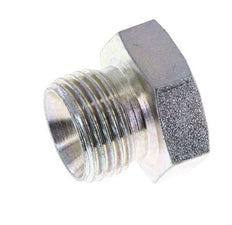 Plug G1/2'' Steel with External Hex 60° cone 300bar (4215.0psi) Hydraulic [2 Pieces]