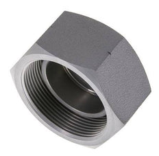 End Cap G2'' Steel with External Hex 60° cone 75bar (1053.75psi) Hydraulic